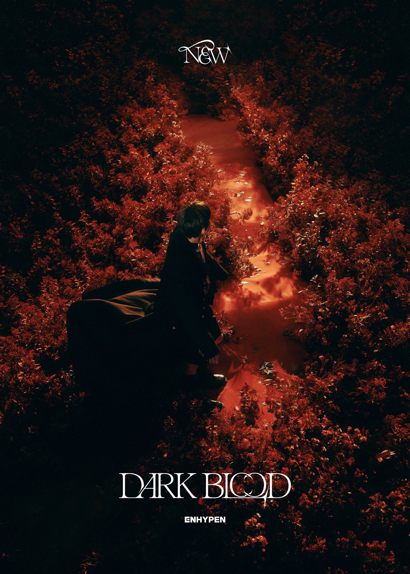 ENHYPEN、『DARK BLOOD』最後のコンセプト「NEW」バージョン公開 - 画像一覧（4/5）