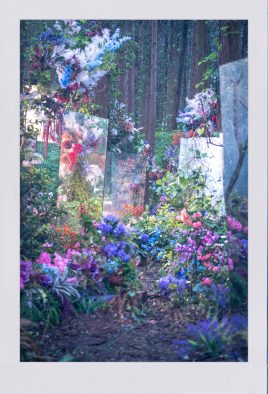 Mrs. GREEN APPLE、映画『ディア・ファミリー』主題歌「Dear」のMVティザーフォト公開