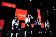 新しい学校のリーダーズ、Zepp DiverCityで躍動！「今までで一番最高のライブができました！」 - 画像一覧（2/11）