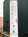 あいみょん、“初恋がぶら下がった”電柱広告の掲出が全国でスタート - 画像一覧（1/4）