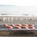 エビ中、新曲「新未来センセーション」の配信リリースが決定！10ヵ月連続リリース企画の第4弾 - 画像一覧（2/2）