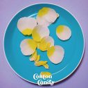 Conton Candy、バンド結成記念日に新曲「花びらと生活音」を配信リリース - 画像一覧（2/2）