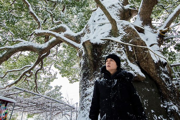 福山雅治「クスノキ-500年の風に吹かれて-」配信リリース！楽曲配信利益の一部を長崎市クスノキ基金に寄付