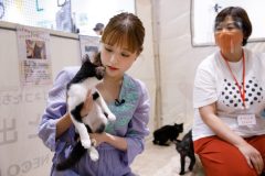 映画『犬部！』出演の大原櫻子、保護犬猫の譲渡会イベントで動物愛護についてコメント