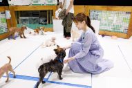 映画『犬部！』出演の大原櫻子、保護犬猫の譲渡会イベントで動物愛護についてコメント - 画像一覧（3/8）