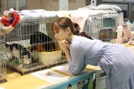 映画『犬部！』出演の大原櫻子、保護犬猫の譲渡会イベントで動物愛護についてコメント - 画像一覧（2/8）