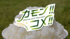 wacci​​​​×しまじろう、話題のコラボ曲「Come on!! Kome!!（カモン!! コメ!!）」配信スタート - 画像一覧（1/3）