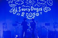 Saucy Dog、ミニアルバム『サニーボトル』リリース記念ワンマンライブが大盛況 - 画像一覧（6/12）