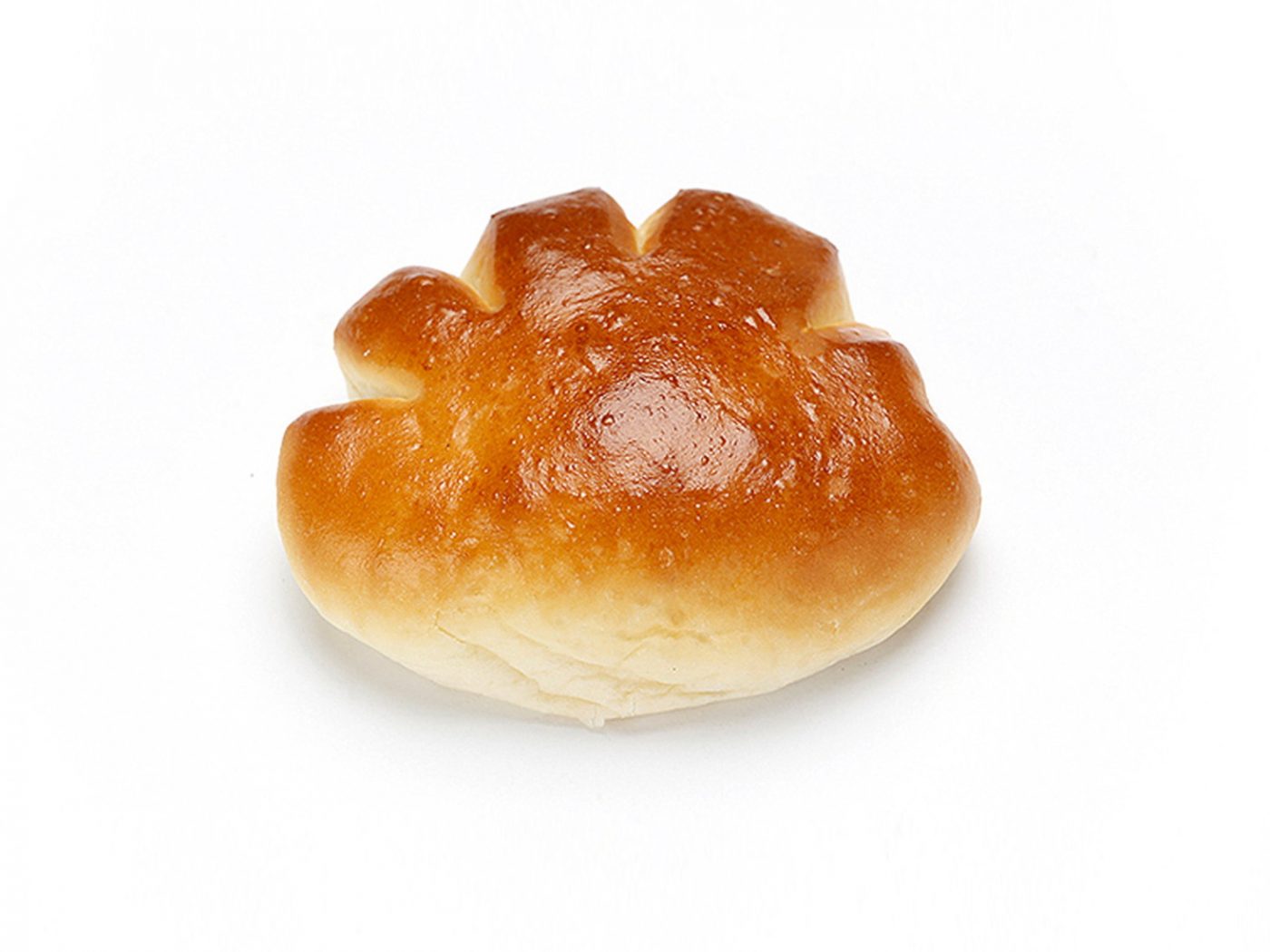 手がクリームパン、TBSドラマ『パパとムスメの7日間』OPテーマに大抜擢