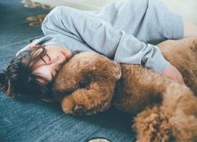 櫻坂46・守屋麗奈、1st写真集の裏表紙4パターンと秋元康の帯コメント公開