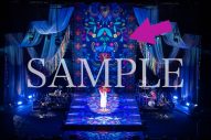 小泉今日子、デビュー40周年記念のホールツアー『KKPP』を作品化！ 初のライブアルバムもリリース - 画像一覧（6/9）