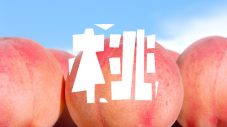 TOKIO城島茂×国分太一が、福島県産の桃＆夏野菜に大感激！「ウマっ！ てか、アマっ！」 - 画像一覧（2/4）