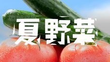 TOKIO城島茂×国分太一が、福島県産の桃＆夏野菜に大感激！「ウマっ！ てか、アマっ！」 - 画像一覧（4/4）