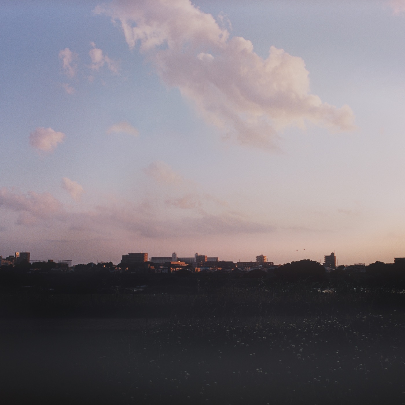 心揺さぶる“カロリーメイト”部活生応援動画『今日、部長になった』篇に、にんじん（from ロクデナシ）がボーカル参加 - 画像一覧（5/5）