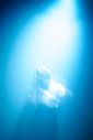 adieu（上白石萌歌）、隅々までこだわりと愛に溢れた1stワンマンライブが大盛況 - 画像一覧（2/7）