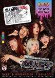 PIGGS、『全身全霊！燃える豚魂ツアー』開催決定！ ファイナルは日比谷野音