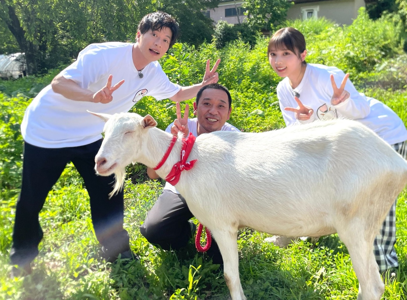 乃木坂46与田祐希×田中圭、テレ東『ヤギと大悟』で夏休みのような雑草旅へ