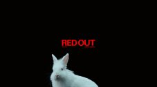 米津玄師、Spotify ブランド CMソング「RED OUT」のMV公開＆音源の先行配信も開始 - 画像一覧（1/2）