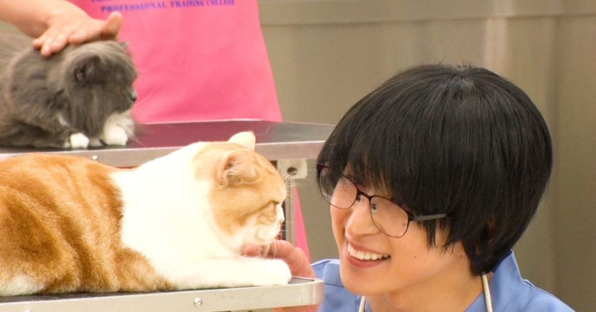 Snow Man佐久間大介、“黒髪＆メガネ”で動物専門学校に潜入！ねこちゃん