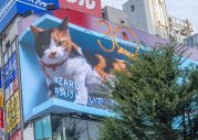 ZARDの全曲サブスク解禁を記念して、新宿駅前の巨大3D三毛猫が「負けにゃいで」 - 画像一覧（1/2）