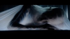 “まさか、MIYAVIがスキンヘッドに！”話題騒然の「New Gravity」MV公開 - 画像一覧（9/10）