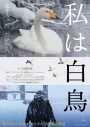 石崎ひゅーい、ドキュメンタリー映画『私は白鳥』主題歌に新曲「スワンソング」を提供 - 画像一覧（1/2）
