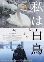石崎ひゅーい、ドキュメンタリー映画『私は白鳥』主題歌に新曲「スワンソング」を提供 - 画像一覧（2/2）