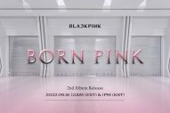BLACKPINK、「Pink Venom」がSpotify1億ストリーミングを突破！ 自身最短記録を更新 - 画像一覧（2/2）