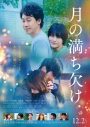 Snow Man・目黒蓮出演、映画『月の満ち欠け』本予告映像公開！ ちゃんMARIが劇伴を担当 - 画像一覧（1/2）