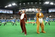 札幌ドームで過去最大規模の“きつねダンス”！ イルヴィス、大観衆の前で「The Fox」を歌唱 - 画像一覧（1/4）