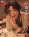 SixTONES田中樹『anan』表紙に登場！ 退廃的でロックな文学世界を表現 - 画像一覧（1/1）