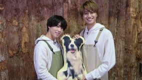 Aぇ! group・末澤誠也＆小島健、カンテレの昼の情報番組でDIYに初挑戦