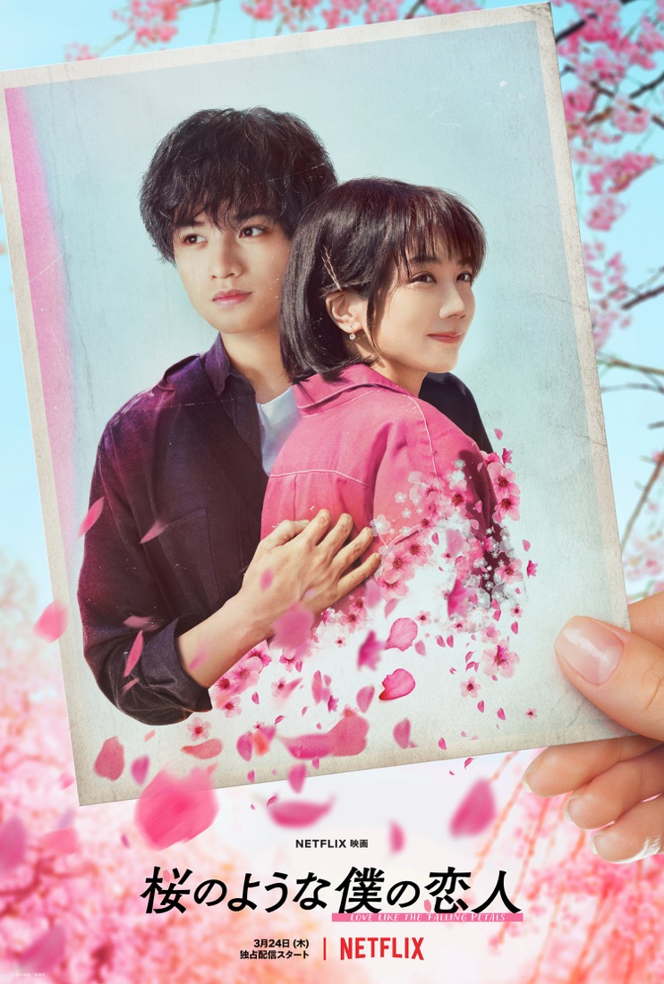中島健人 × 松本穂香が出演するNetflix映画『桜のような僕の恋人』ティーザー予告解禁