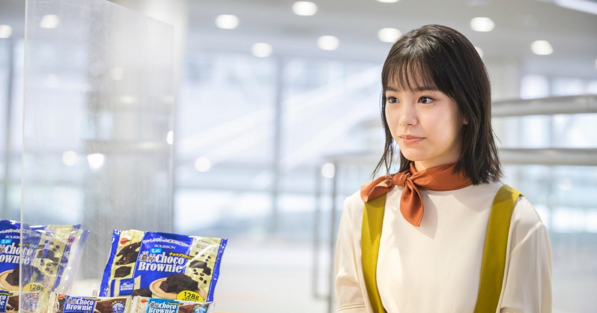北海道・札幌産　ゴマダラチョウ　ペア 北海道・札幌産ゴマダラチョウペア