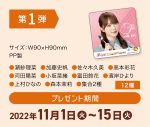 日向坂46×CoCo壱番屋が3年ぶりにコラボ！『ちょいトピ！ de HAPPY！キャンペーン』開催決定 - 画像一覧（19/20）
