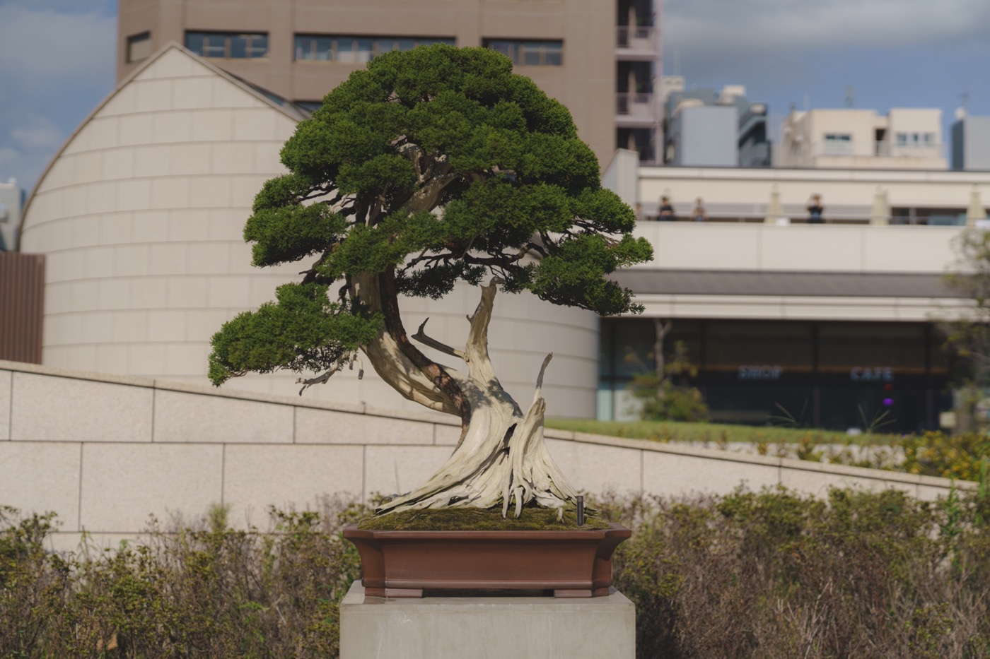 【ライブレポート】アイナ・ジ・エンド、Novelbright、yamaらが築地本願寺で豪華共演の『TOKYO CHEMISTRY』開催 - 画像一覧（13/16）