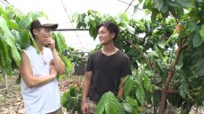 松田元太がカカオ栽培を学びに宮崎へ！松島聡＆篠塚大輝は新宿の屋上でブドウ栽培に大奮闘 - 画像一覧（2/3）