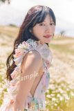 日向坂46河田陽菜 2nd写真集『テイクオフ』の封入特典ポストカード絵柄公開！デンマーク・メン島の花畑で撮影