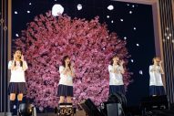 櫻坂46、改名後初の全国アリーナツアー完遂！ 12月の日本武道館公演が決定 - 画像一覧（33/35）
