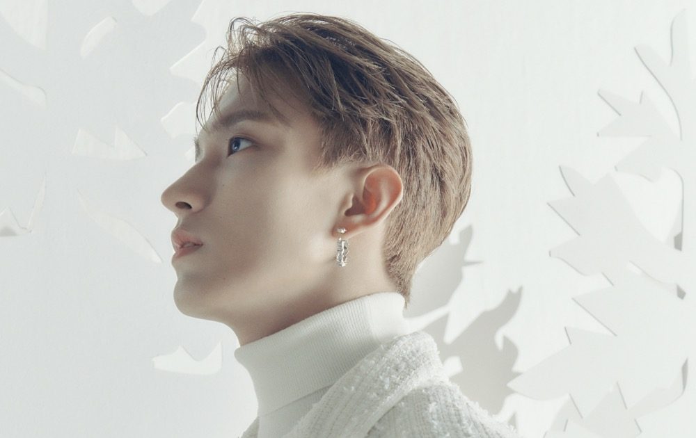 seventeen ひとりじゃない　あいのちから　ディノ　　81枚‼︎ まとめ売り 20211125-dm-130007-1000x630.jpg