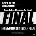 Zepp Tokyoファイナルイベント最終日は “ELLEGARDEN vs BRAHMAN” - 画像一覧（2/7）