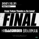 Zepp Tokyoファイナルイベント最終日は “ELLEGARDEN vs BRAHMAN” - 画像一覧（6/7）