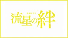 二宮和也主演、2008年放送の傑作ドラマ『流星の絆』の初配信が決定！ 共演は、錦戸亮、戸田恵梨香 - 画像一覧（2/2）
