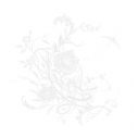 Aimer、ドラマ『大奥Season2』主題歌シングル「白色蜉蝣」アートワーク＆収録内容公開 - 画像一覧（2/4）