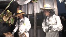 国分太一＆松島聡＆松田元太『ザ！鉄腕！DASH!!』で全滅寸前のニホンミツバチ救出に挑む - 画像一覧（2/3）