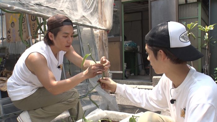 南国班長・松田元太が天然バニラ栽培に挑戦！松島聡のビッグプロジェクト「松島茶屋」も本格始動