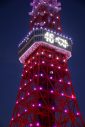 東京タワーが乃木坂46仕様にライトアップ！「感無量です！」（賀喜遥香） - 画像一覧（1/6）