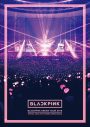 BLACKPINK、初のドーム公演映像が完全フル尺で初配信スタート - 画像一覧（2/2）
