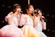 【ライブレポート】NMB48渋谷凪咲、11年の軌跡を辿る卒業コンサートが大盛況！「夢を叶えられて卒業、とても幸せ」 - 画像一覧（14/16）