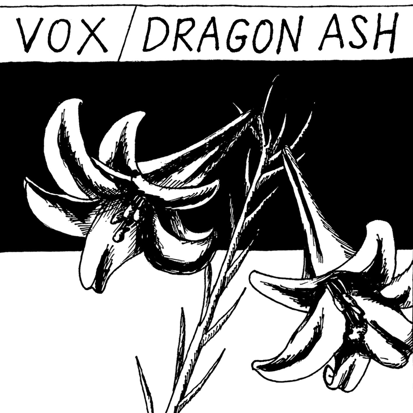 Dragon Ash、新曲「VOX」の配信リリースが決定！ オリジナルスマホ壁紙プレゼントキャンペーンも実施 - 画像一覧（2/4）